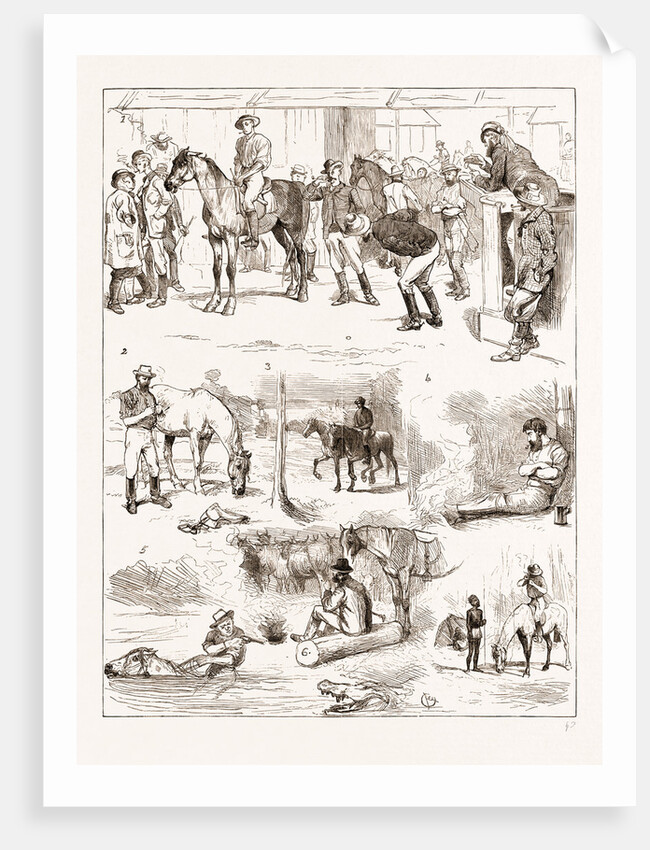 Scenes Of Australian Life, 1876 by Anonymous