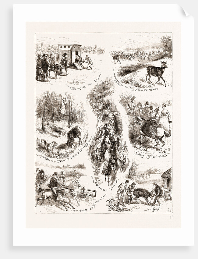 A Day With An Untried Deer by Anonymous