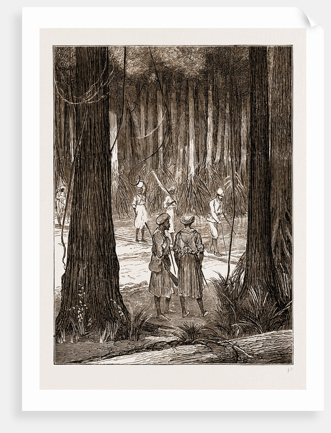 Crossing The Luwati, Africa by Anonymous