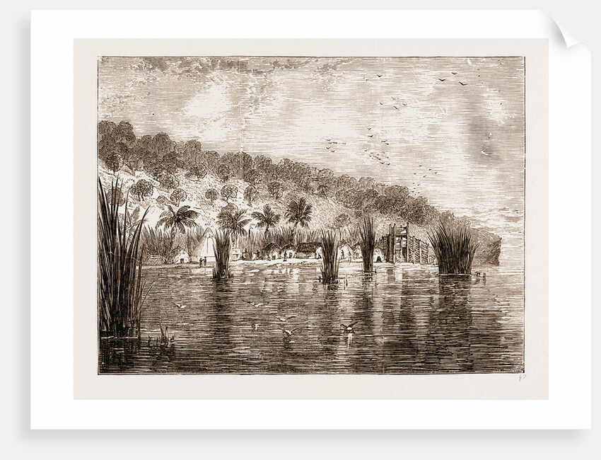 Camp On Lake Tanganyika, Africa by Anonymous