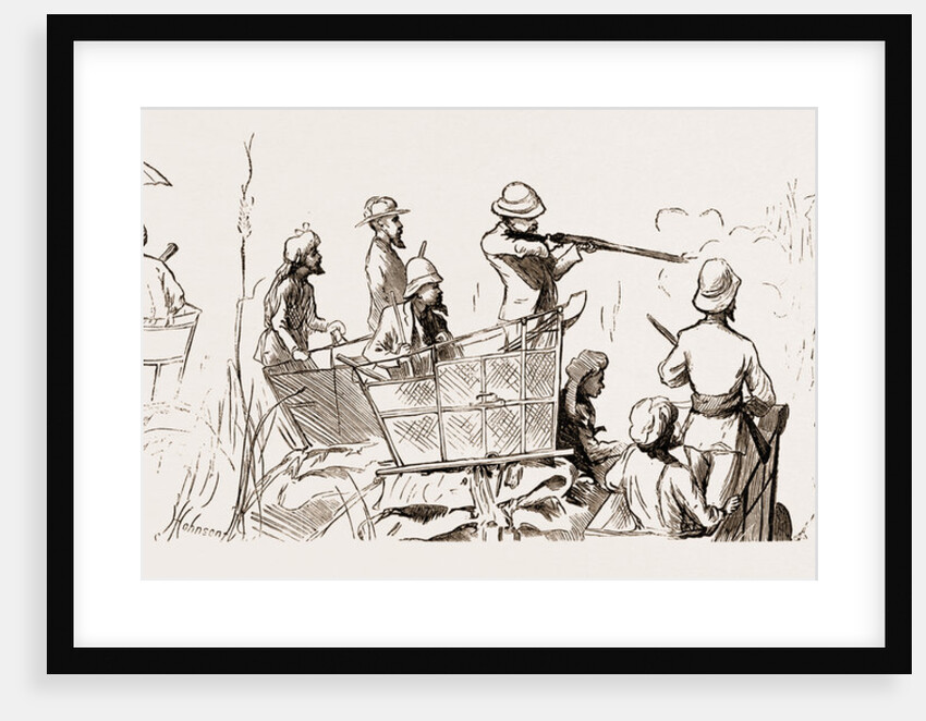 Reminiscences Of The Nepaul Terai, 1876: 5. News From Home. 6. The Prince's Last Tiger. by Anonymous