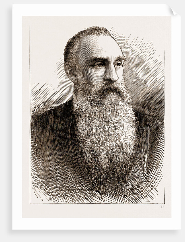 Professor T.c. Archer by Anonymous