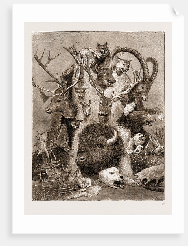 The Wild Game Of Europe, Hunting Trophies by Anonymous