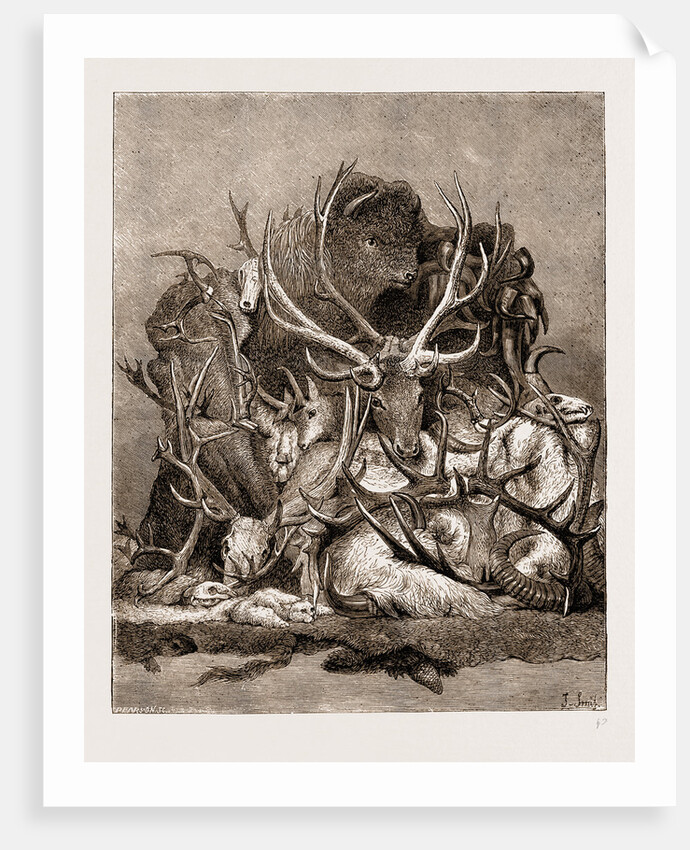 The Wild Game Of America, 1876 by Anonymous