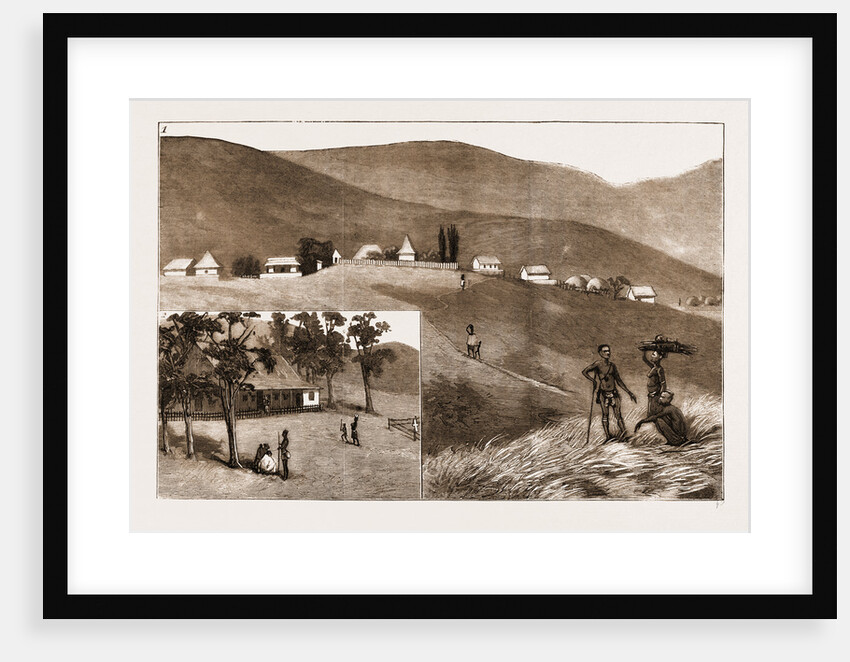 The Restoration Of Cetewayo by Anonymous