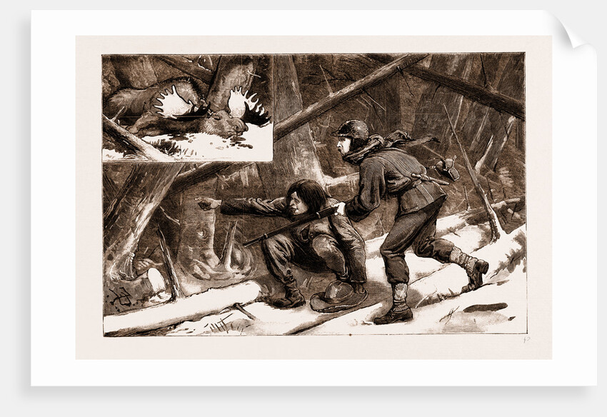 Moose-creeping In Nova Scotia, 1883 by Anonymous