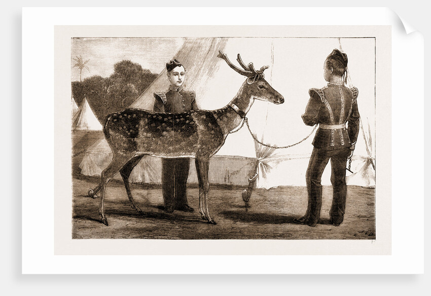 Billy, The Pet Deer Of The Prince Of Wales's Own (west Yorkshire Regiment) by Anonymous
