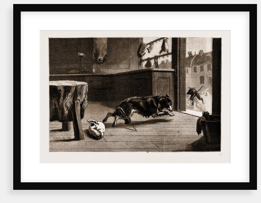 A corner In Pork: Baffled, 1883 by Anonymous