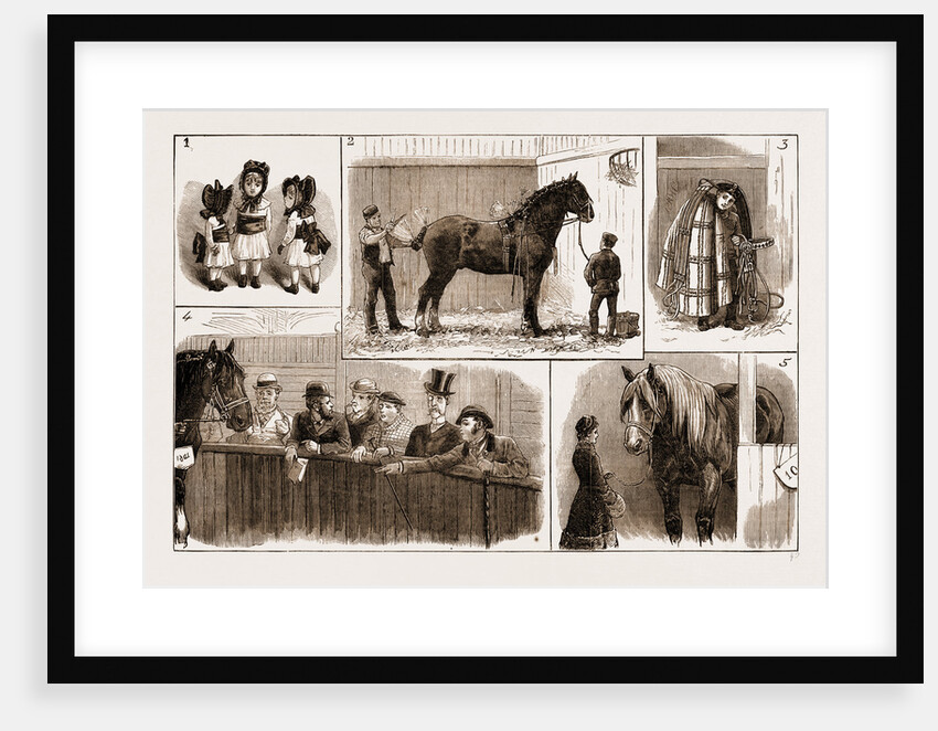 The Cart-horse Show At The Agricultural Hall by Anonymous