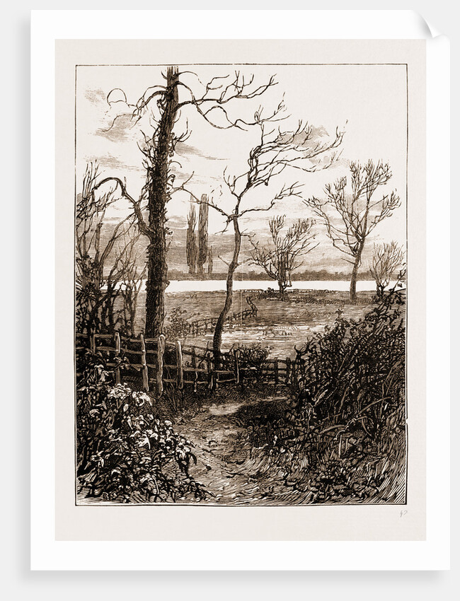 The Attack On Lady Florence Dixie Near Windsor, UK by Anonymous