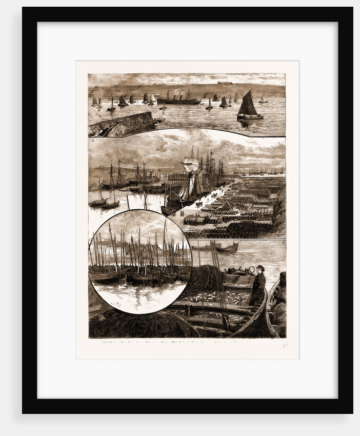 The Herring Fishery At Caithness, UK by Anonymous