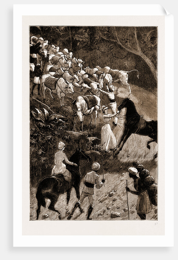 Life In Southern India by Anonymous