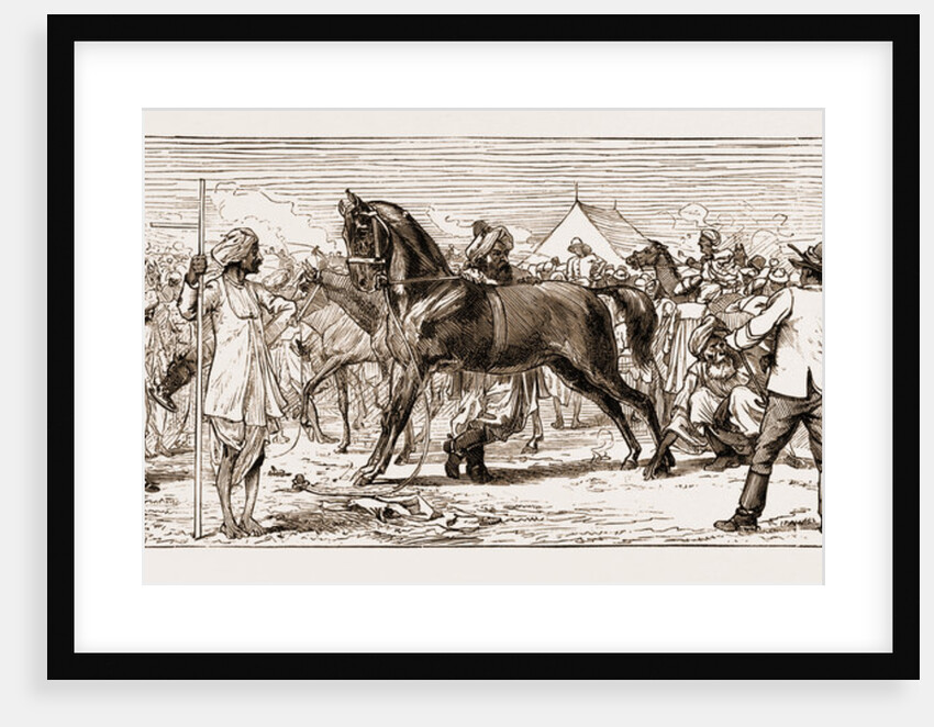 At An Indian Horse Fair: A Sketch At Muttra, 1883 by Anonymous