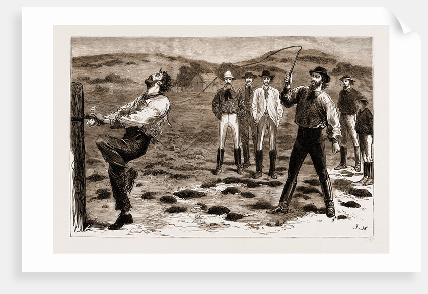 New South Wales, Australia, 1883 by Anonymous
