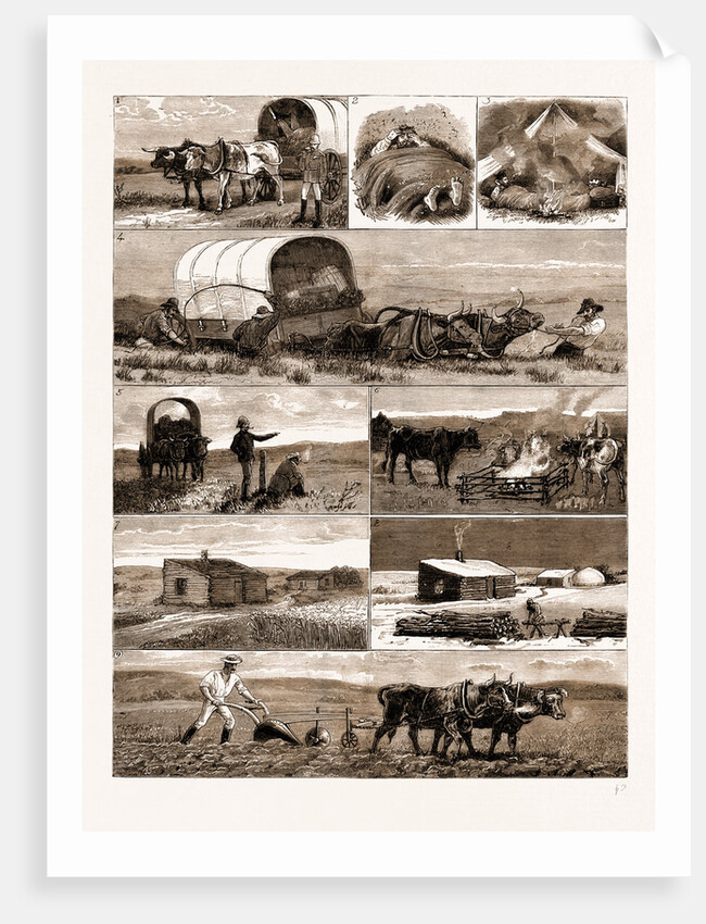 Scenes From An Emigrant's Life In Manitoba, Canada, 1883 by Anonymous