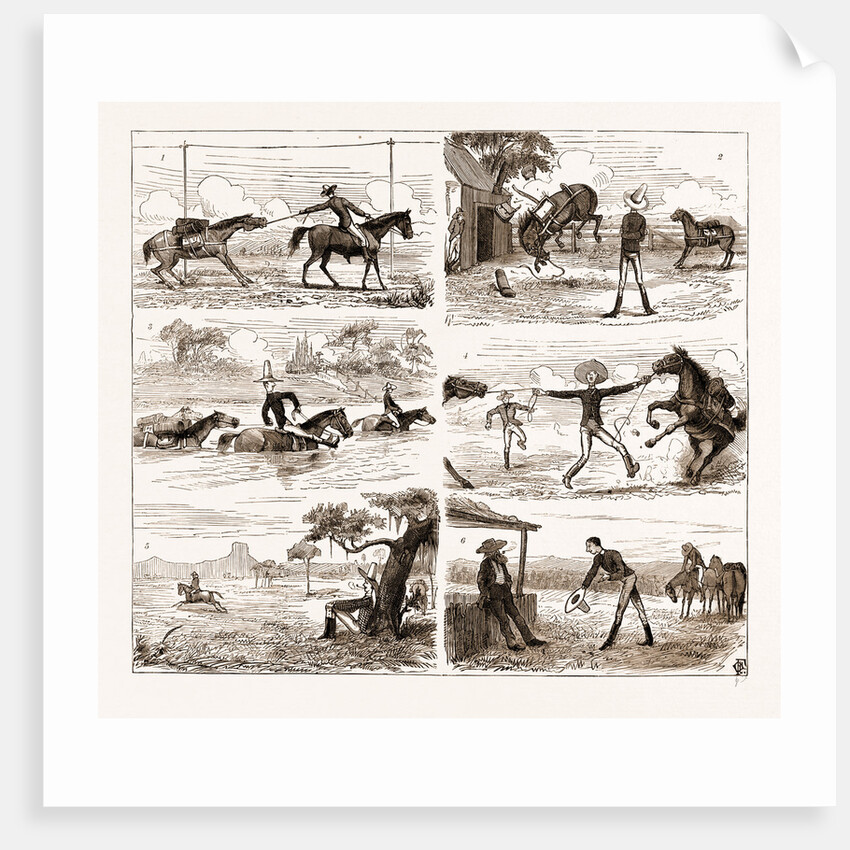 An Overland Journey From Queensland To Sydney With A New Chum, Australia, 1883 by Anonymous