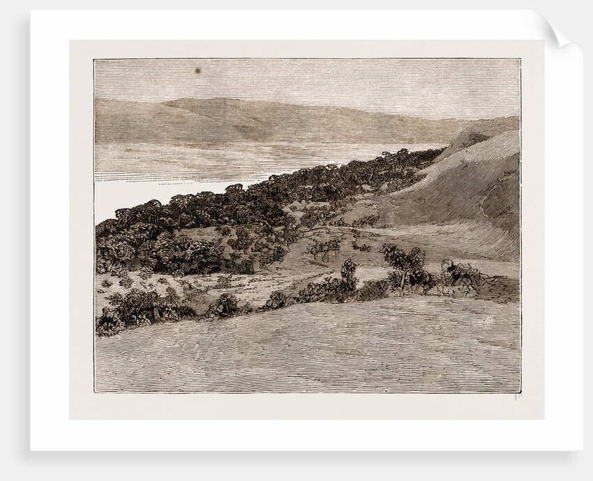 The River Congo At Manyanga, Africa, 1883 by Anonymous