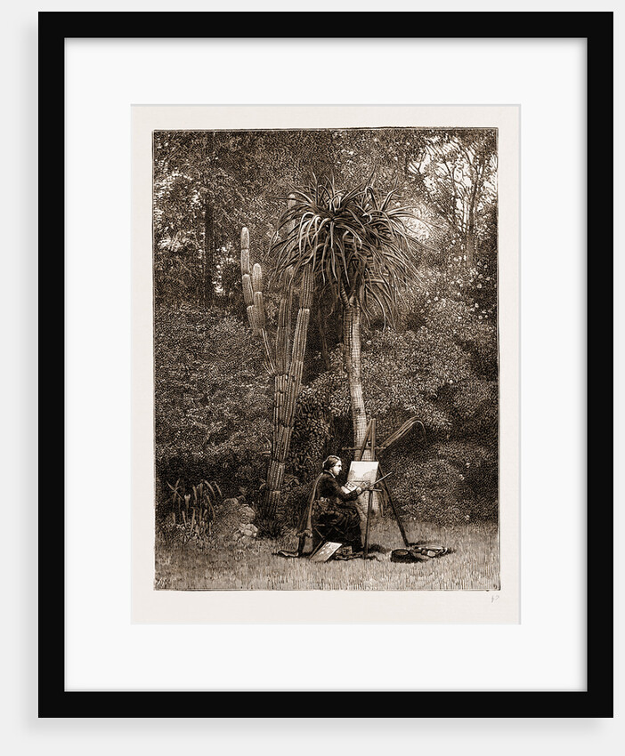 Miss North, The Floral Artist, At Work At Grahamstown, South Africa, 1883 by Anonymous