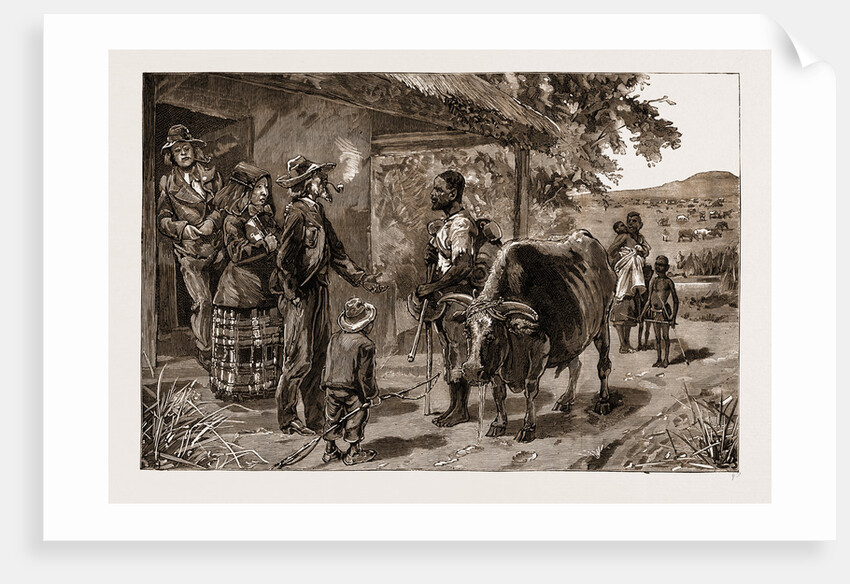 The Boers And Their Treatment Of The Blacks: Two Years' Wages In The Transvaal, South Africa, 1883 by Anonymous