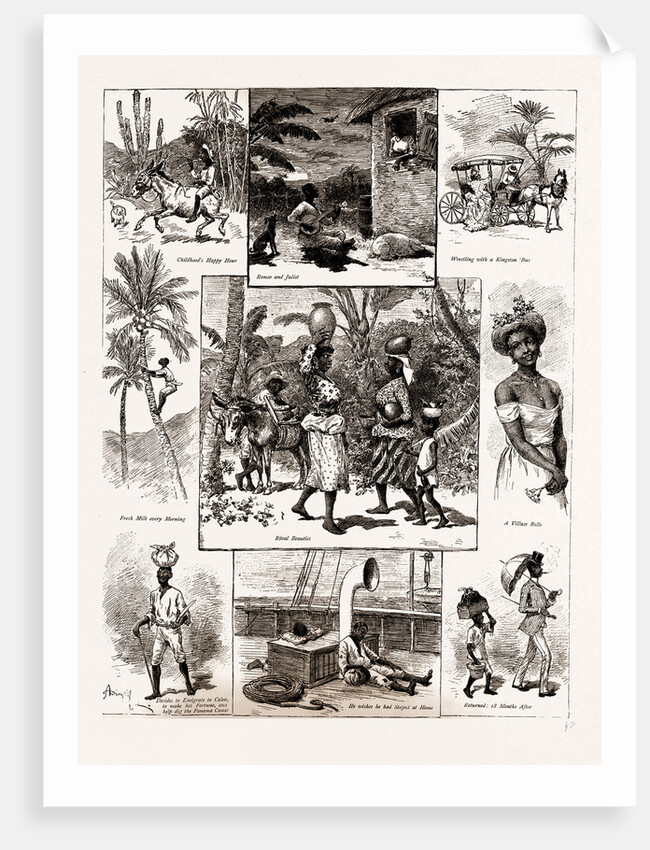 Life In Jamaica, 1886 by Anonymous