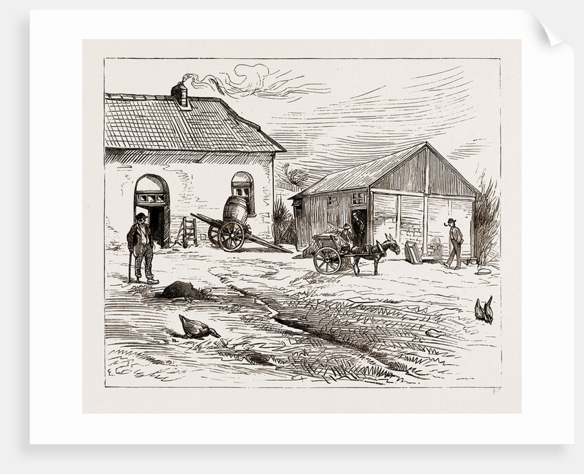 Police Hut To Protect Mike Flynn's Cottage, 1886 by Anonymous