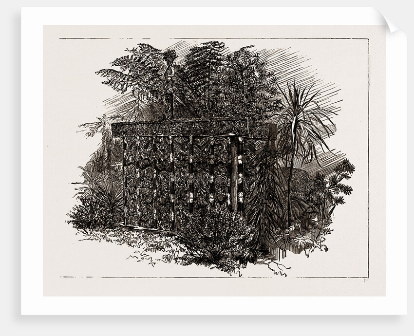 Australian And New Zealand Exhibits At The Colonial And Indian Exhibition, 1886 by Anonymous