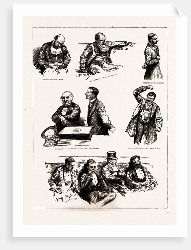 The Home Rule Debate In The House Of Commons, London, UK, 1886 by Anonymous