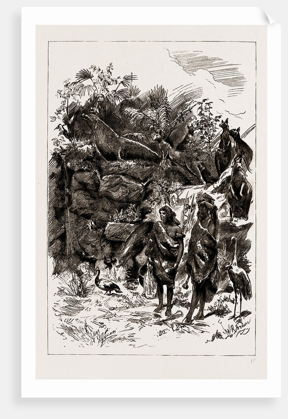 The Colonial And Indian Exhibition, 1886 by Anonymous