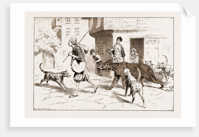 Street Dogs Barking At A Dancing Bear And His Keeper In Constantinople, Istanbul, Turkey, 1897 by Anonymous