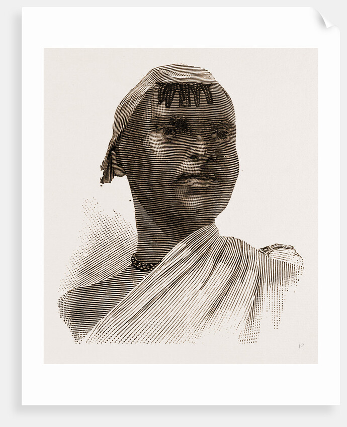 The Chief Chikusi by Anonymous