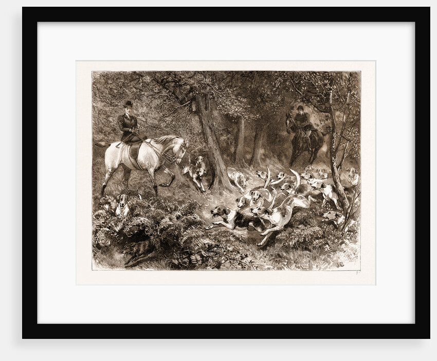 Hard Pressed: A Woodland Scene, 1897 by Anonymous
