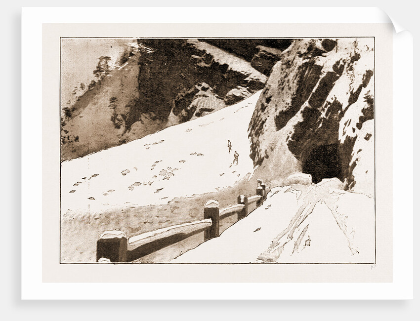 The Fatal Avalanche Near Davos, 1897 by Anonymous
