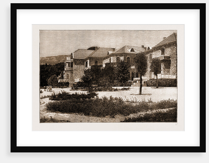 The Palace Of Tatoi : The Country Residence Of The King Of Greece, 1897 by Anonymous