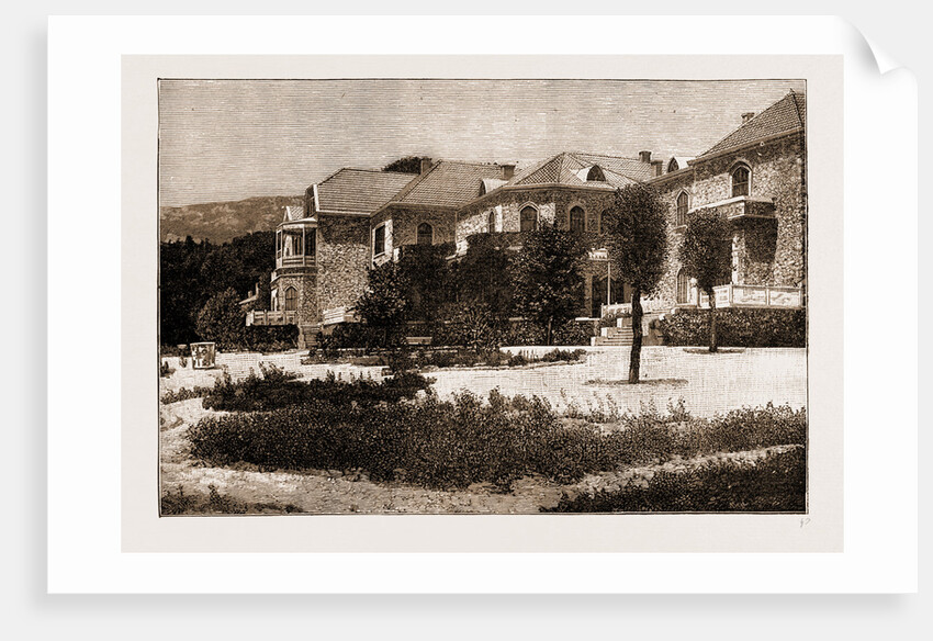The Palace Of Tatoi : The Country Residence Of The King Of Greece, 1897 by Anonymous