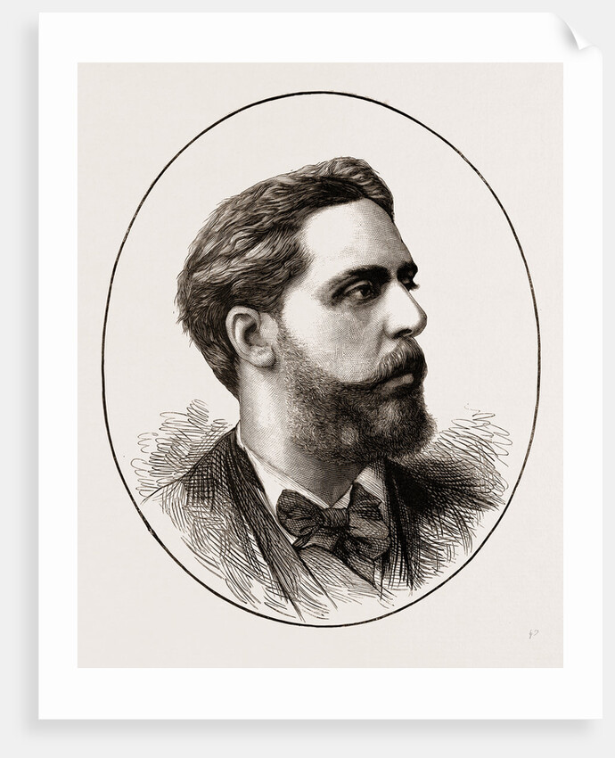 Don Carlos, 1873 by Anonymous