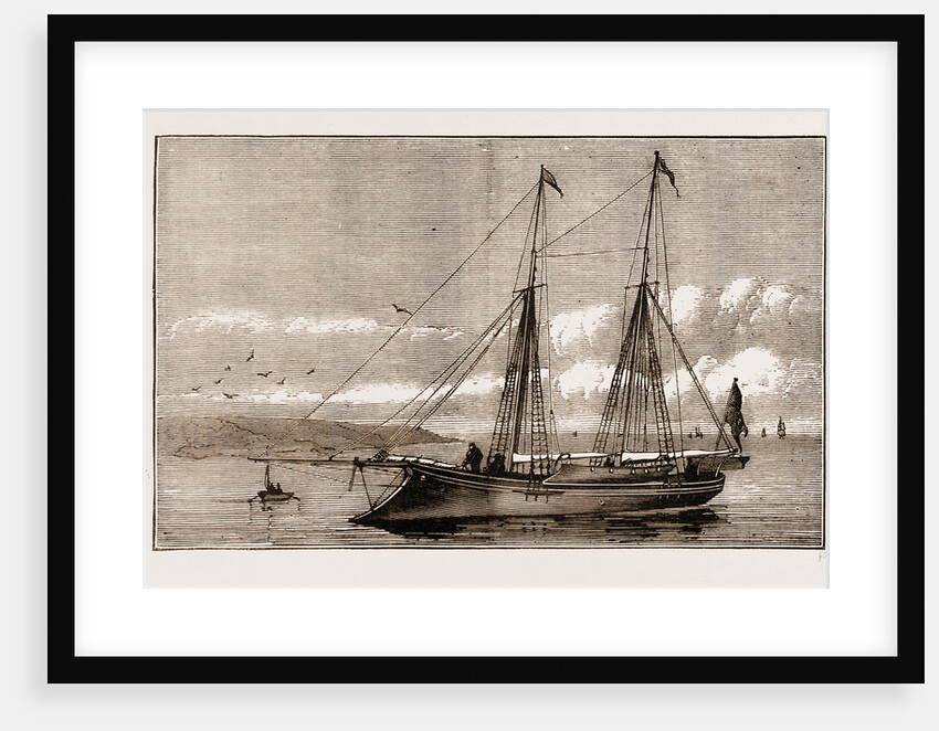 The New Yacht by Anonymous