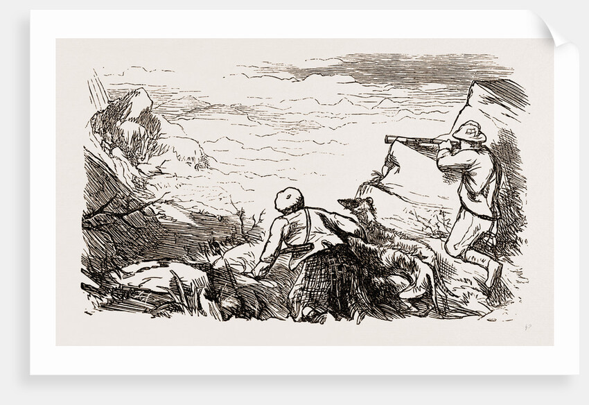 At A Deer Drive- Looking Out by Anonymous