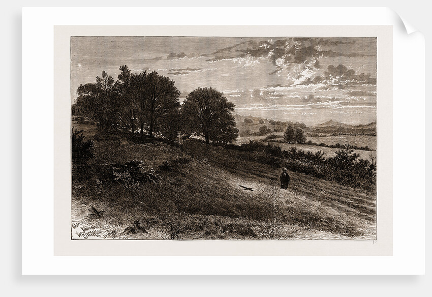 Near Evershed's Rough—scene Of The Fatal Accident To The Lord Bishop Of Winchester, 1873 by Anonymous