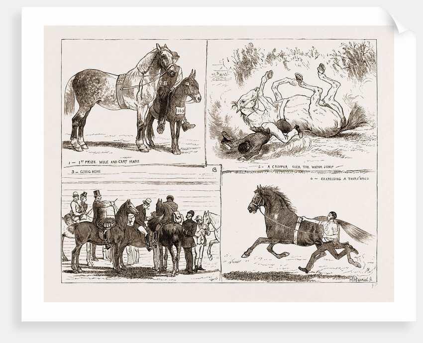 Tiie Horse Show At The Alexandra Park London UK 1873 by Anonymous