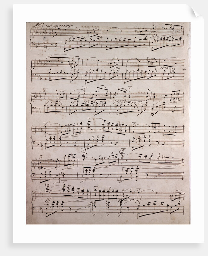 Handwritten sheet music, con passione by Anonymous