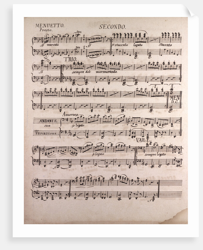 Handwritten sheet music, menuetto presto, amoroso, andante by Anonymous