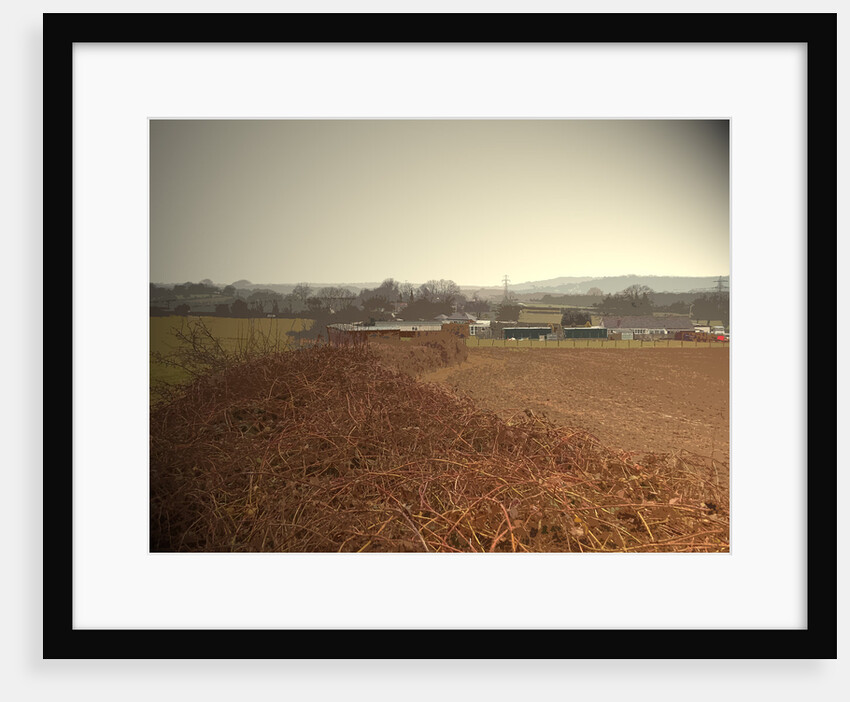 Overlooking Mansfield Road by Sarah Smith