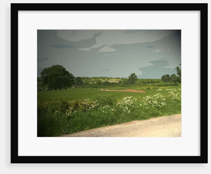 Summer Countryside viewed from Brun Lane by Sarah Smith