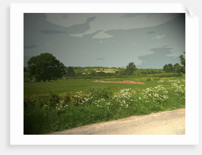 Summer Countryside viewed from Brun Lane by Sarah Smith