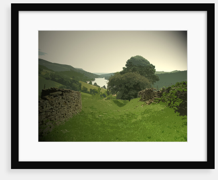 Grassy Byway between Lanehead and a sunken path leading down to the remains of Derwent village by Sarah Smith