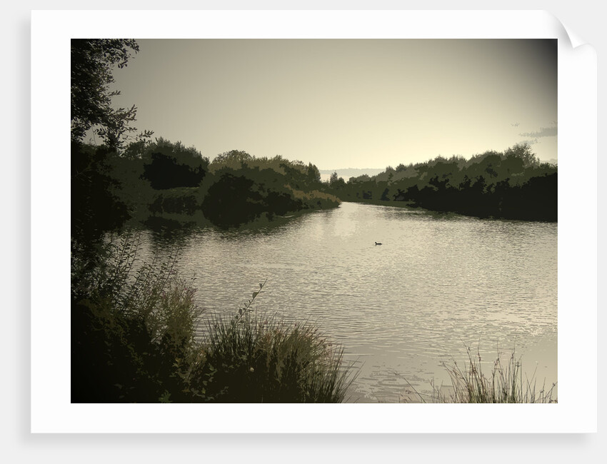 Pond near Moorway Lane by Sarah Smith