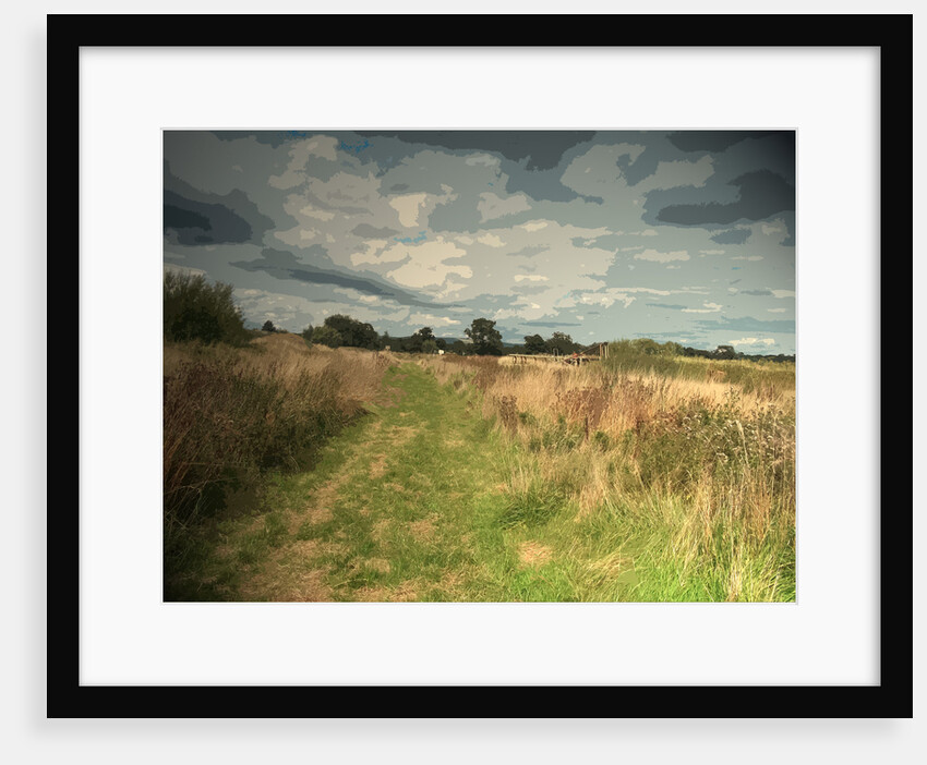 Path near Leasaws Farm by Sarah Smith