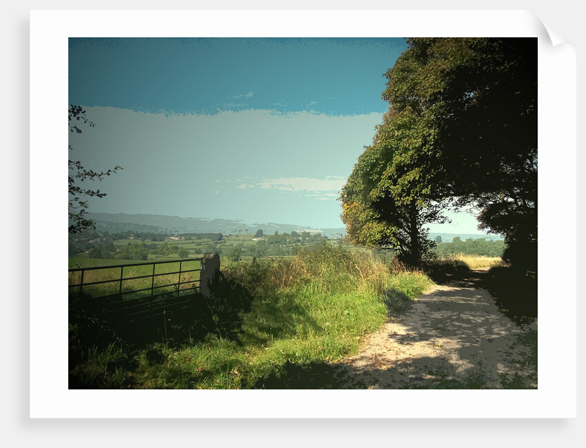 Track and Byway on Madge Hill by Sarah Smith