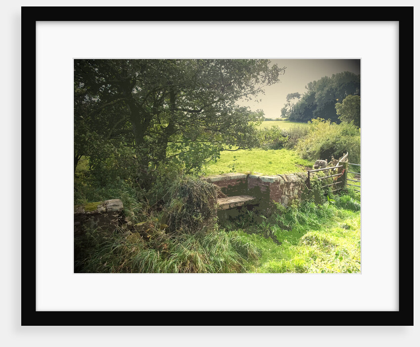 A Quaint Stone Bench by Sarah Smith