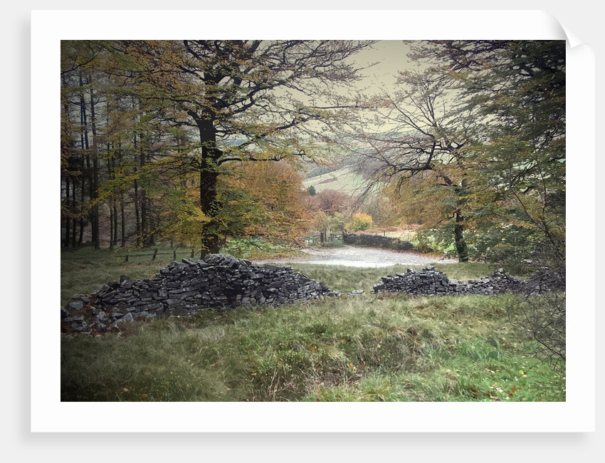 Autumnal Colours near Fernilee Reservoir by Sarah Smith